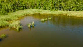 Jezioro Dgał Mały - zdjęcie 16