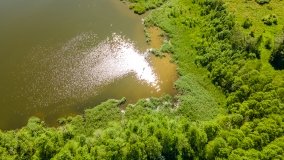 Jezioro Dgał Mały - zdjęcie 11