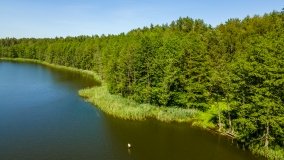 Jezioro Dgał Mały - zdjęcie 9