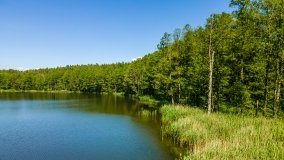 Jezioro Dgał Mały - zdjęcie 8