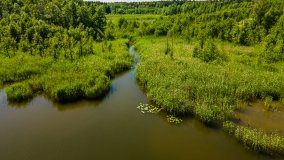 Jezioro Dgał Mały - zdjęcie 5