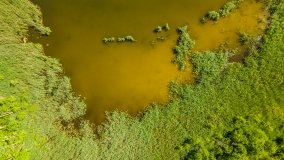 Jezioro Dgał Mały - zdjęcie 4