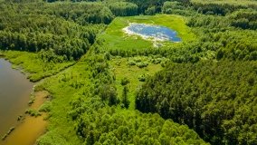 Jezioro Dgał Mały - zdjęcie 3