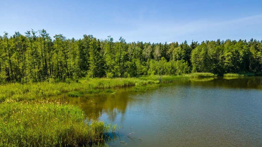 Jezioro Dgał Mały - zdjęcie 1