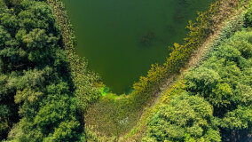 Jezioro Piecek - zdjęcie 12