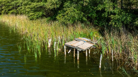 Jezioro Piecek - zdjęcie 3