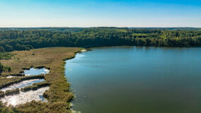 Jezioro Brożówka - zdjęcie 41