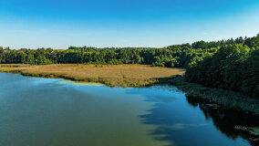 Jezioro Brożówka - zdjęcie 40