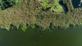 Jezioro Brożówka - zdjęcie 38