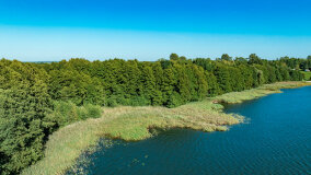 Jezioro Brożówka - zdjęcie 30