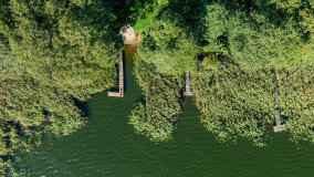 Jezioro Brożówka - zdjęcie 27