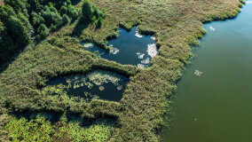 Jezioro Brożówka - zdjęcie 26