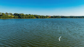 Jezioro Brożówka - zdjęcie 14