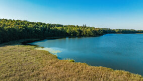 Jezioro Brożówka - zdjęcie 11