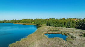 Jezioro Brożówka - zdjęcie 9