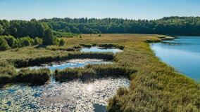 Jezioro Brożówka - zdjęcie 7