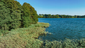 Jezioro Brożówka - zdjęcie 5