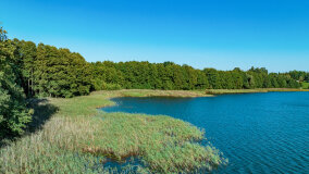 Jezioro Brożówka - zdjęcie 4