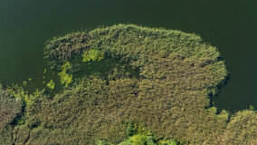 Jezioro Brożówka - zdjęcie 3