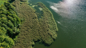 Jezioro Brożówka - zdjęcie 2