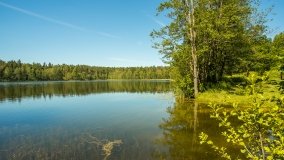 Jezioro Głębokie k. Olecka - zdjęcie 6