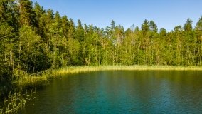 Jezioro Głębokie k. Olecka - zdjęcie 5