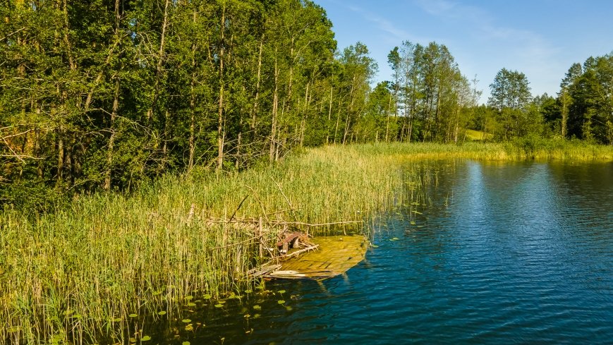 Jezioro Głębokie k. Olecka - zdjęcie 1