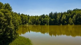 Jezioro Ciche - zdjęcie 9