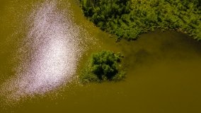 Jezioro Ciche - zdjęcie 7