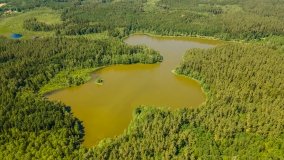 Jezioro Ciche - zdjęcie 5