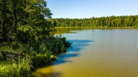 Jezioro Ciche - zdjęcie 2