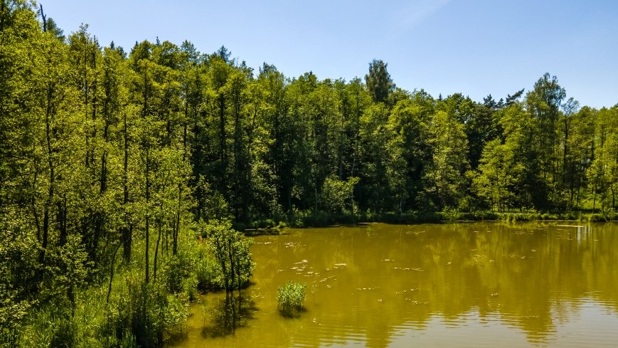 Jezioro Ciche - zdjęcie 1