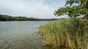 Jezioro Białe k. Białej Giżyckiej - zdjęcie 4