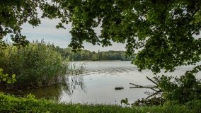 Jezioro Białe k. Białej Giżyckiej - zdjęcie 3