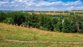 jezioro Kiersztanowskie - zdjęcie 7