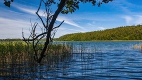 jezioro Legińskie - zdjęcie 19