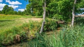 jezioro Legińskie - zdjęcie 3