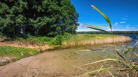 jezioro Widryńskie - zdjęcie 21