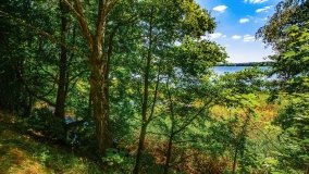 jezioro Widryńskie - zdjęcie 20