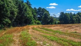 jezioro Widryńskie - zdjęcie 18