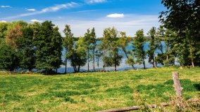 jezioro Widryńskie - zdjęcie 15