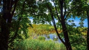 jezioro Widryńskie - zdjęcie 14