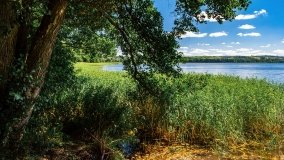 jezioro Widryńskie - zdjęcie 10