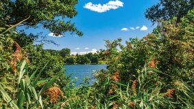 jezioro Widryńskie - zdjęcie 7