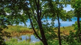 jezioro Widryńskie - zdjęcie 6