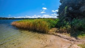 jezioro Widryńskie - zdjęcie 3