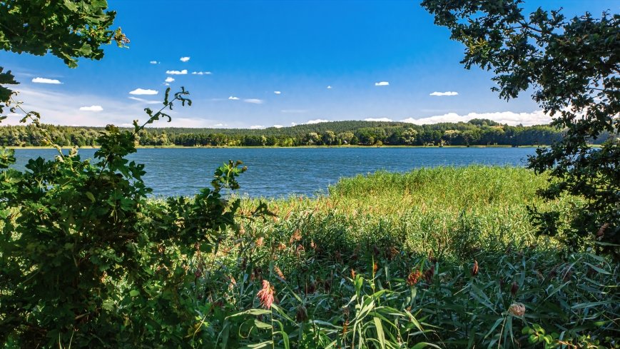 jezioro Widryńskie - zdjęcie 1