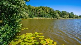 jezioro Bęskie - zdjęcie 40