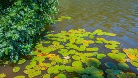 jezioro Bęskie - zdjęcie 38