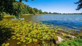 jezioro Bęskie - zdjęcie 37